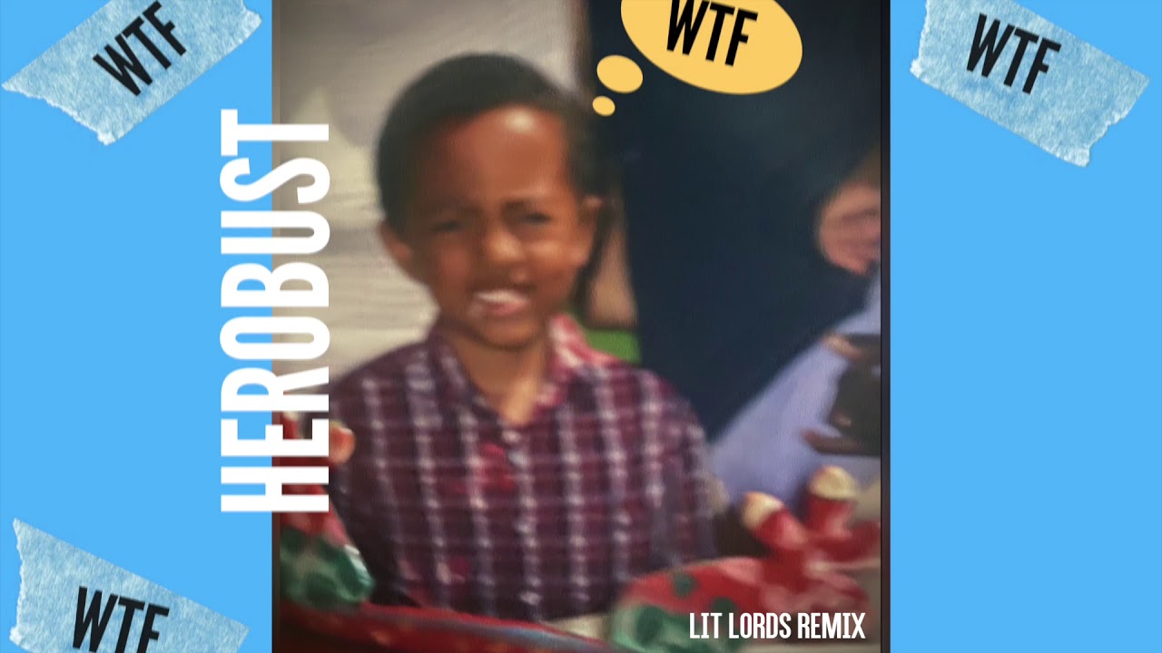 Herobust - WTF (Lit Lords Remix) [Official Audio]