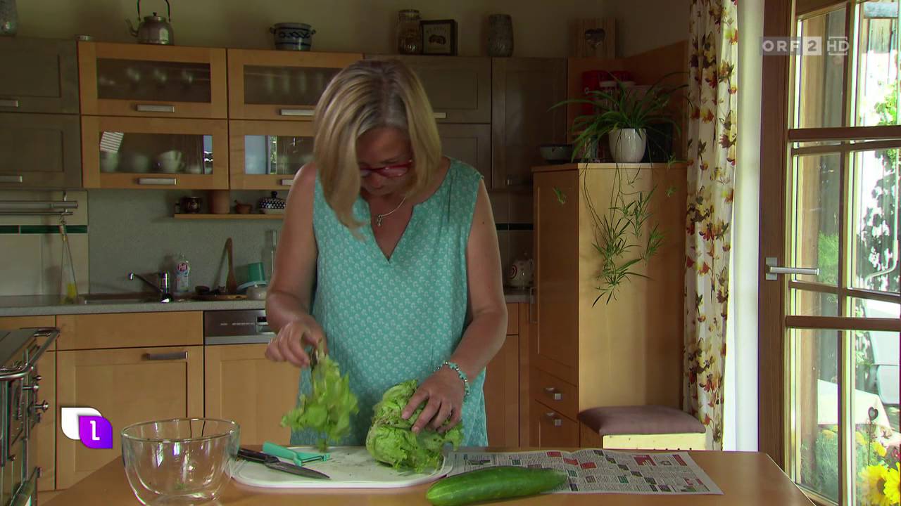 Wurmkiste für Zuhause im ORF heute leben