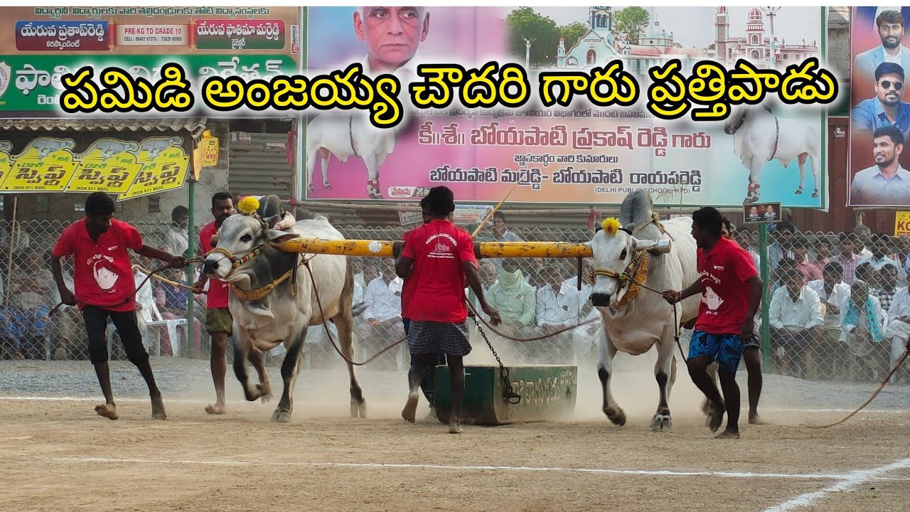 రెంటచింతల గ్రామం 6 పళ్ళ విభాగం 11వ జత పమిడి అంజయ్య చౌదరి గారు ప్రత్తిపాడు గుంటూరు జిల్లా💥