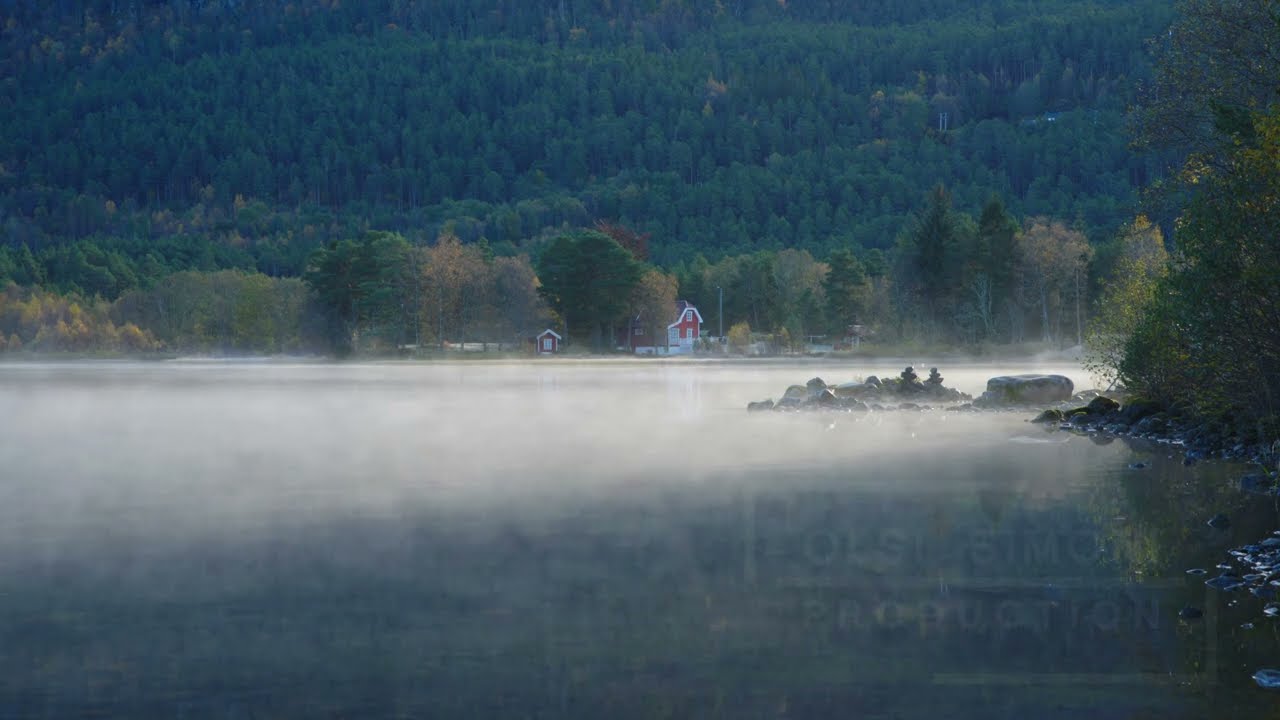 Tranquility (video 1) #foggy #foggymorning #lake #morning (The Truth About Panasonic Lumix S1H DR)