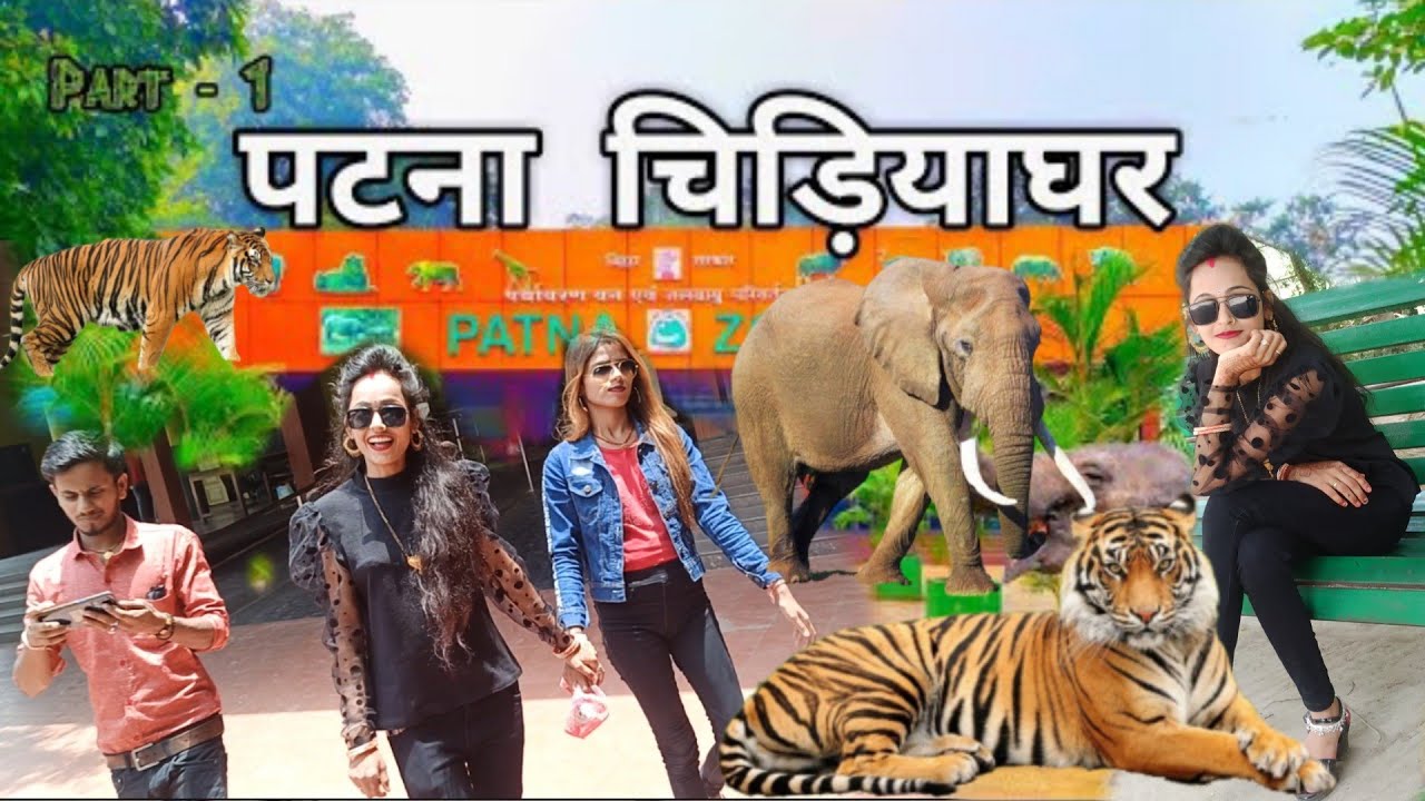 Patna Chidiya Ghar | चिड़ियाघर पटना |Patna Zoo 🐅 rooptara ji ko achchha laga | love couple vlogs ❣️