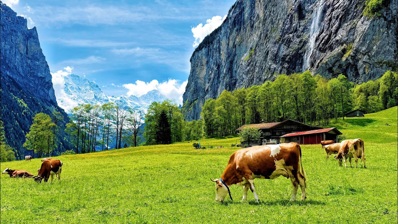 Лето в деревне Лаутербруннен, Швейцария🇨🇭Пешеходная экскурсия по швейцарской долине