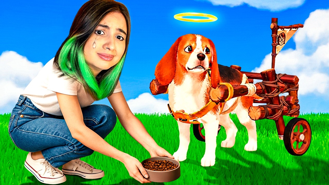ENCONTREI UM ABRIGO PARA CÃES ABANDONADOS E CHOREI MUITO...