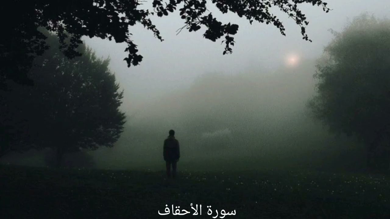 سورة الأحقاف | محمد أيوب 