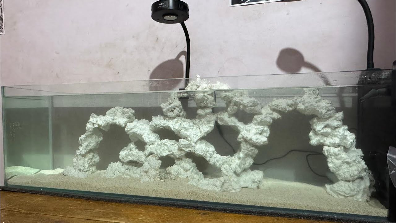 Marine aquarium in Chennai Kolathur