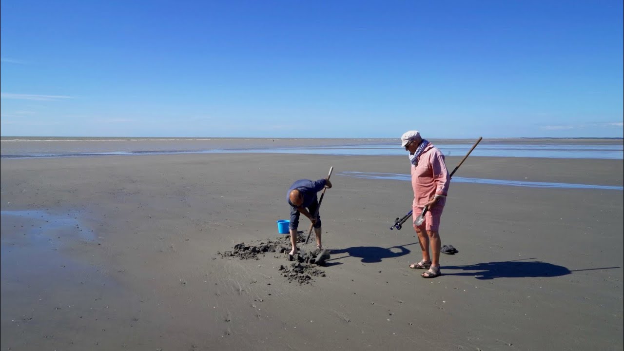 À la pêche aux vers : les verrotiers d'aujourd'hui