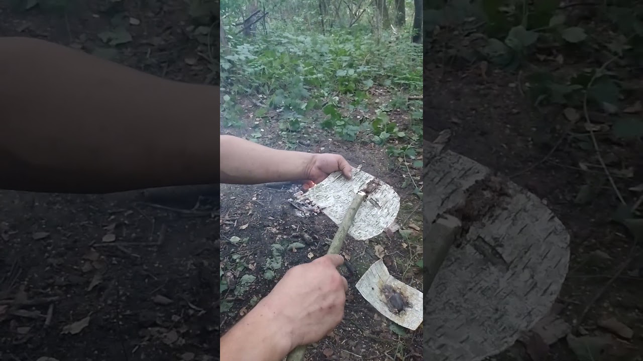 Jak zagotować wodę, gdy nie mamy naczynia w lesie? Pokazuje 👍#bushcraft #kurssurvivalu  #survival