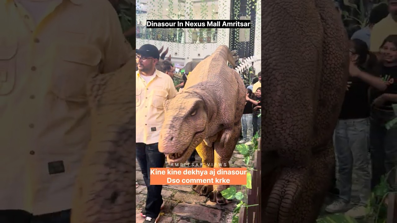 Dinasour in Nexus Mall | Amritsar   #amritsar #nexusmall #ytshorts