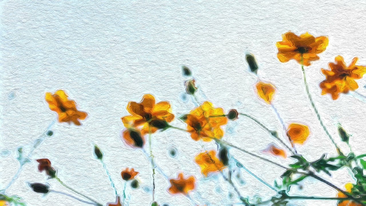 SUMMER AIR - Brock Hewitt: Stories in Sound | The David Roy Collective