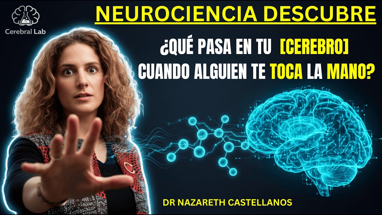 El contacto físico modula el cerebro: estudio neurocientífico lo demuestra