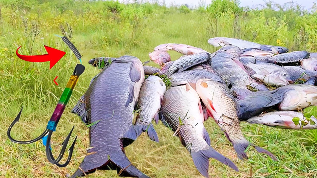 Big Fish Catching Videos | River Fishing Tips And Techniques | Unique Fishing Techniques | Fishing