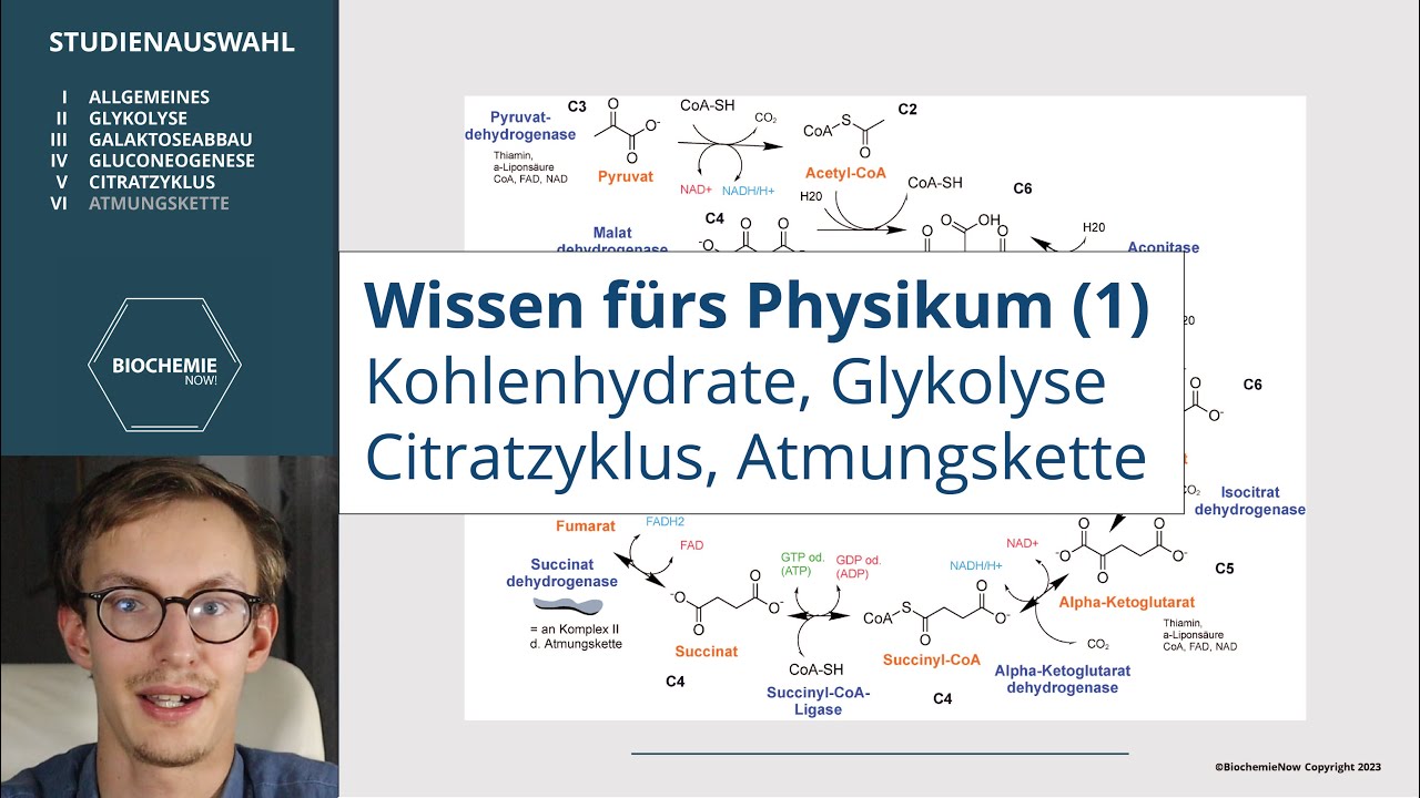 REPETITORIUM BIOCHEMIE (1) - KOHLENHYDRATE, GLYKOLYSE, ZITRATZYKLUS, ATMUNGSKETTE
