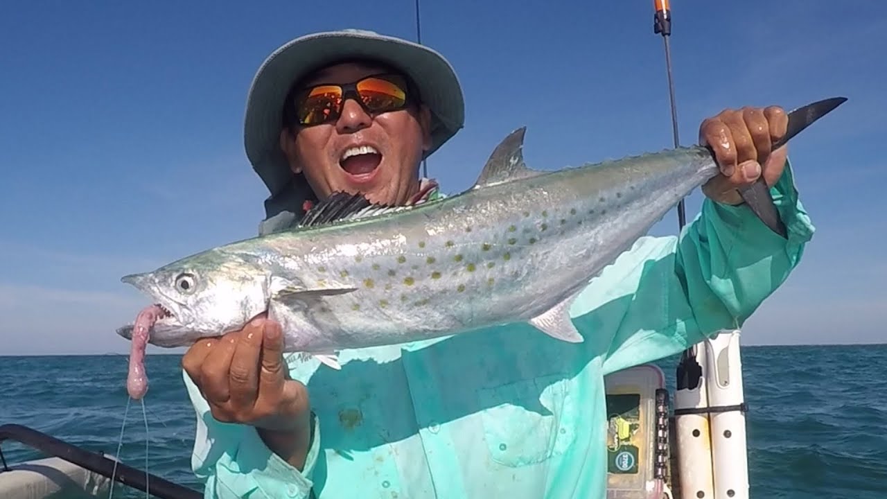 Florida Keys Gulf Side - Jewfish Basin - Spanish Mackerel