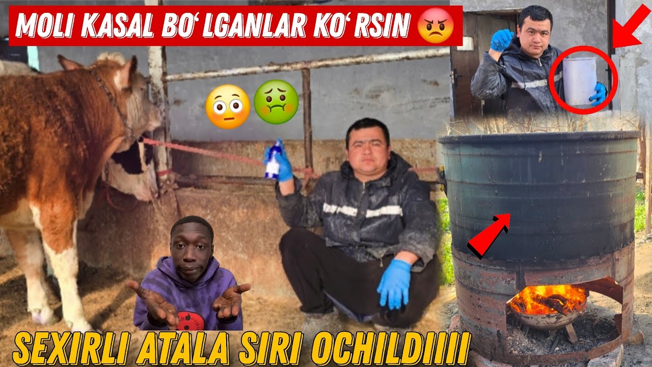  Nega Shuni Oldin Aytmading ... Koʻngli Boshlar Koʻrmasin  Bu Sizga Foydali Boʻladi In Sha Allah 