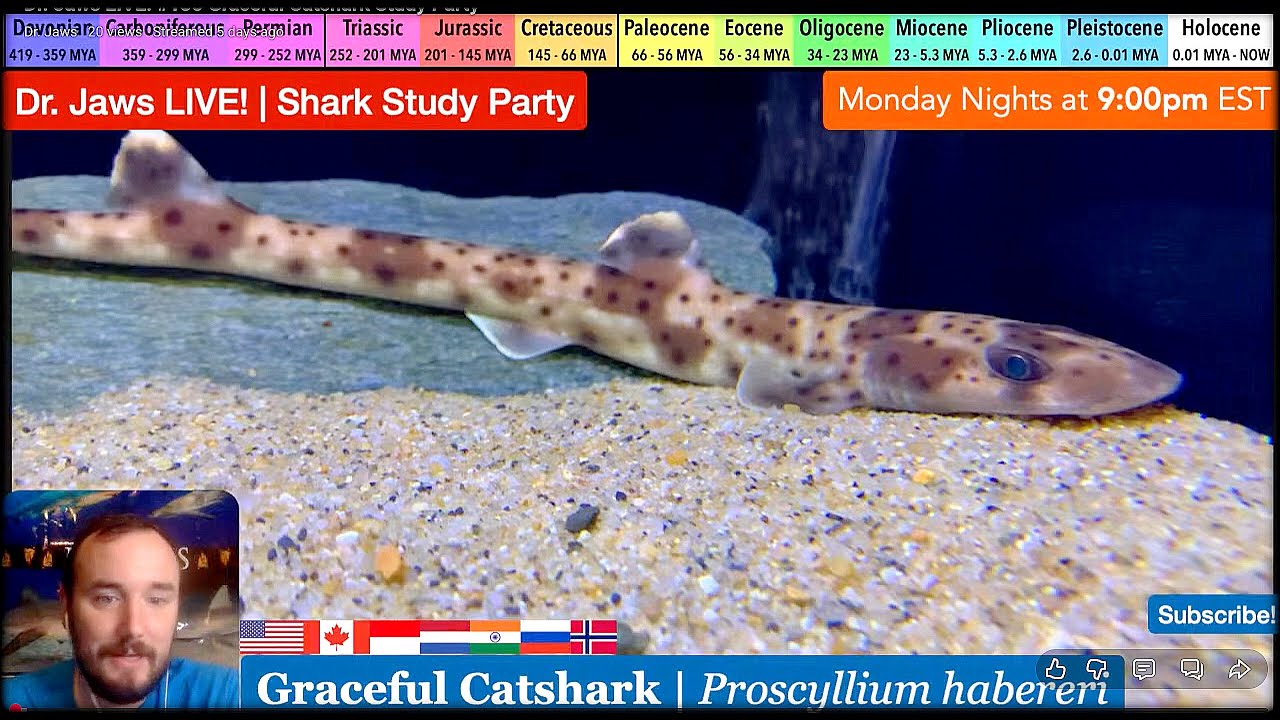 Dr. Jaws LIVE! #135 Graceful Catshark Study Party