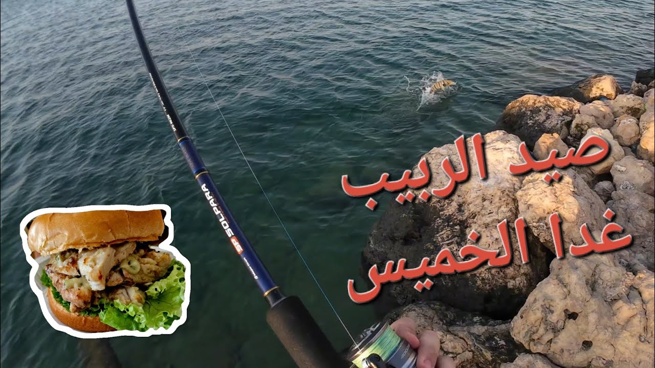 غدانا من شاطئ تالا 