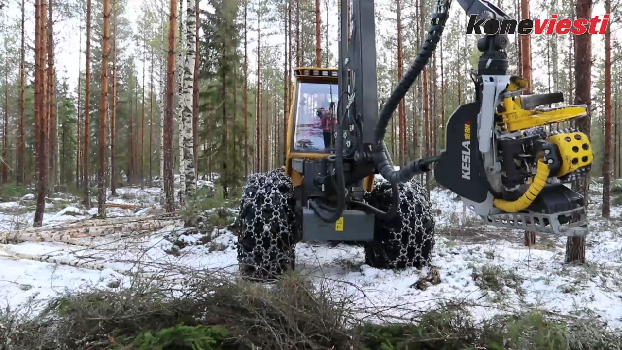 Sampo harvesteri