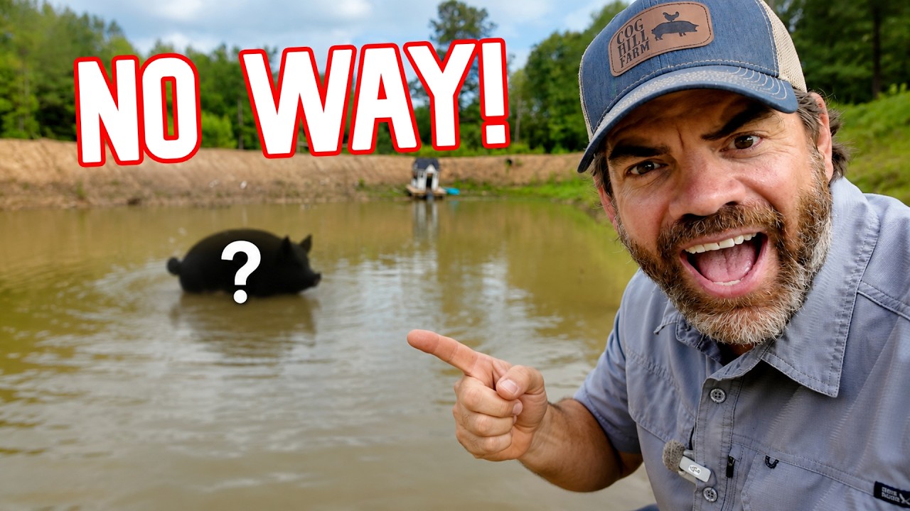 You Won't Believe What I Found In The Pond