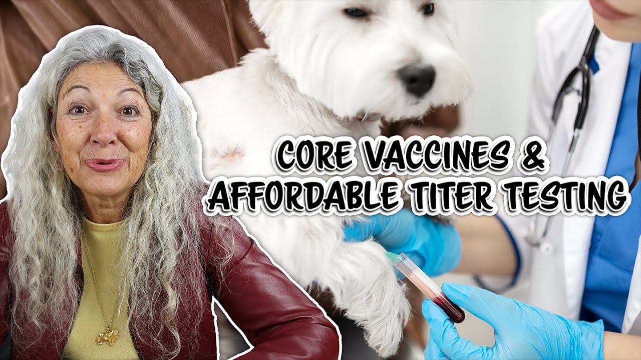 Exploring the Importance of Vaccine Titers