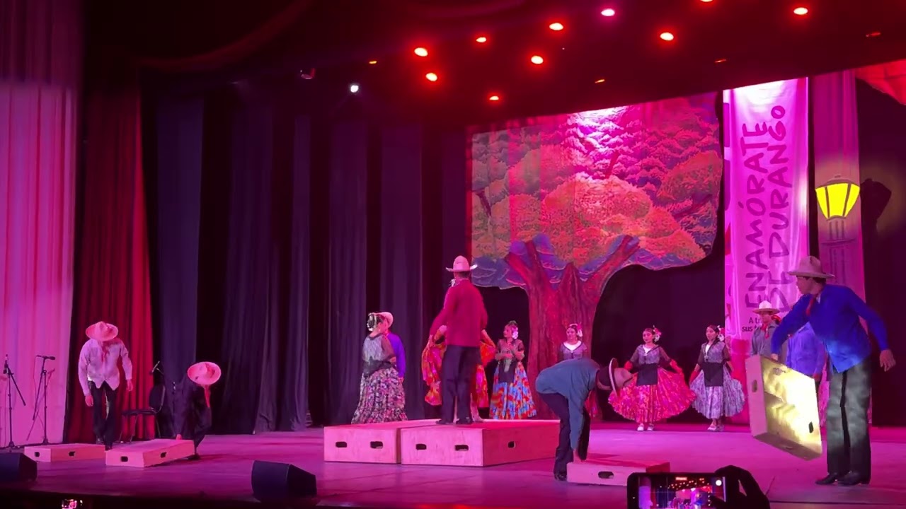 Veracruz: Entre tarimas, sones y fiesta, el fandango se baila. 