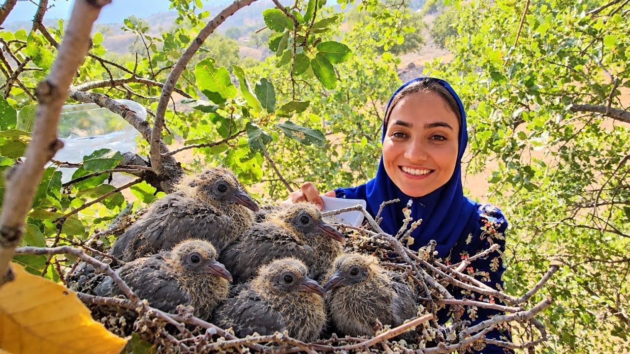 🕊️😲Ali Discovers a Wild Pigeon Nest While Renovating the Room! 🕊️ | Two Tiny Chicks
