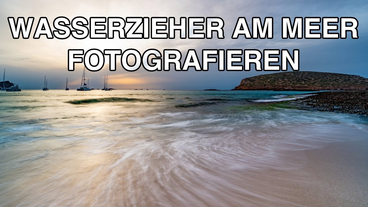 Wasserzieher am Meer fotografieren