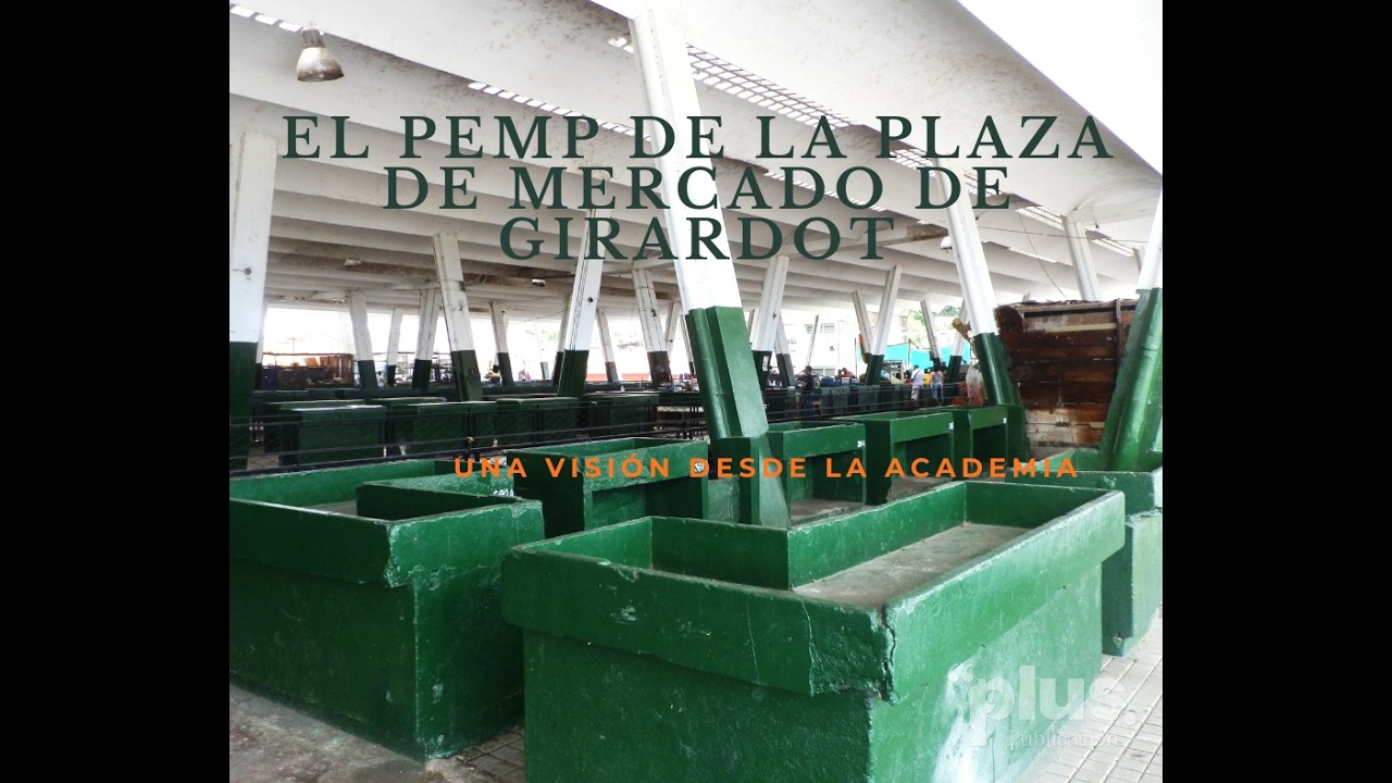 EL PEMP DE LA PLAZA DE MERCADO DE GIRARDOT. Una  visión desde la Academia.