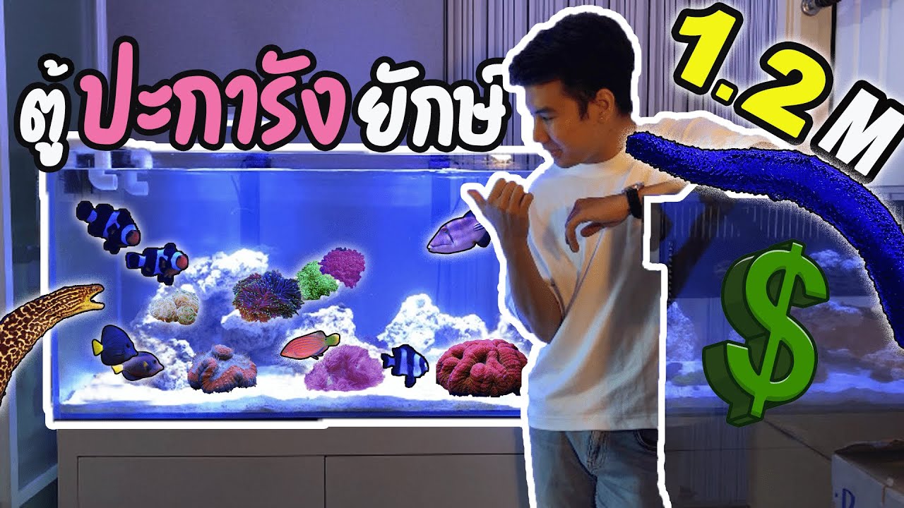 จัดตู้ปะการังยักษ์ 1.2M !!! - Coral reef tank 1.2M!!!