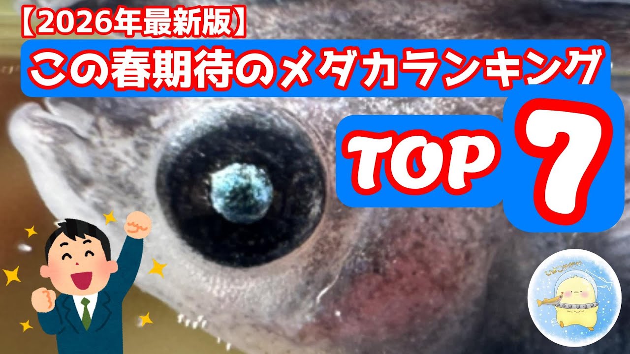 【2026年最新版】この春期待のメダカランキングTOP7【ひよこめだか/メダカ飼育】
