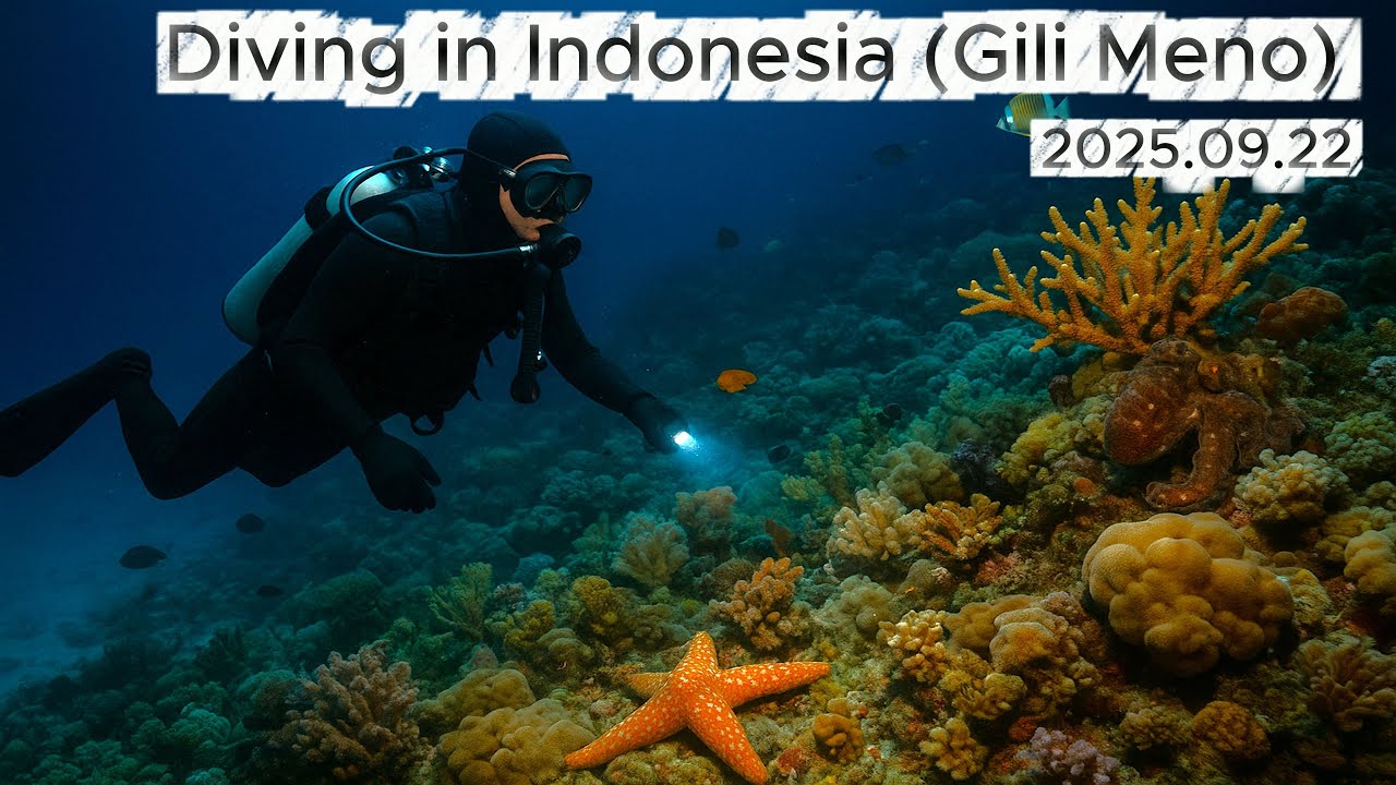 Night diving in Indonesia (Gili Meno) [2025.09.22]