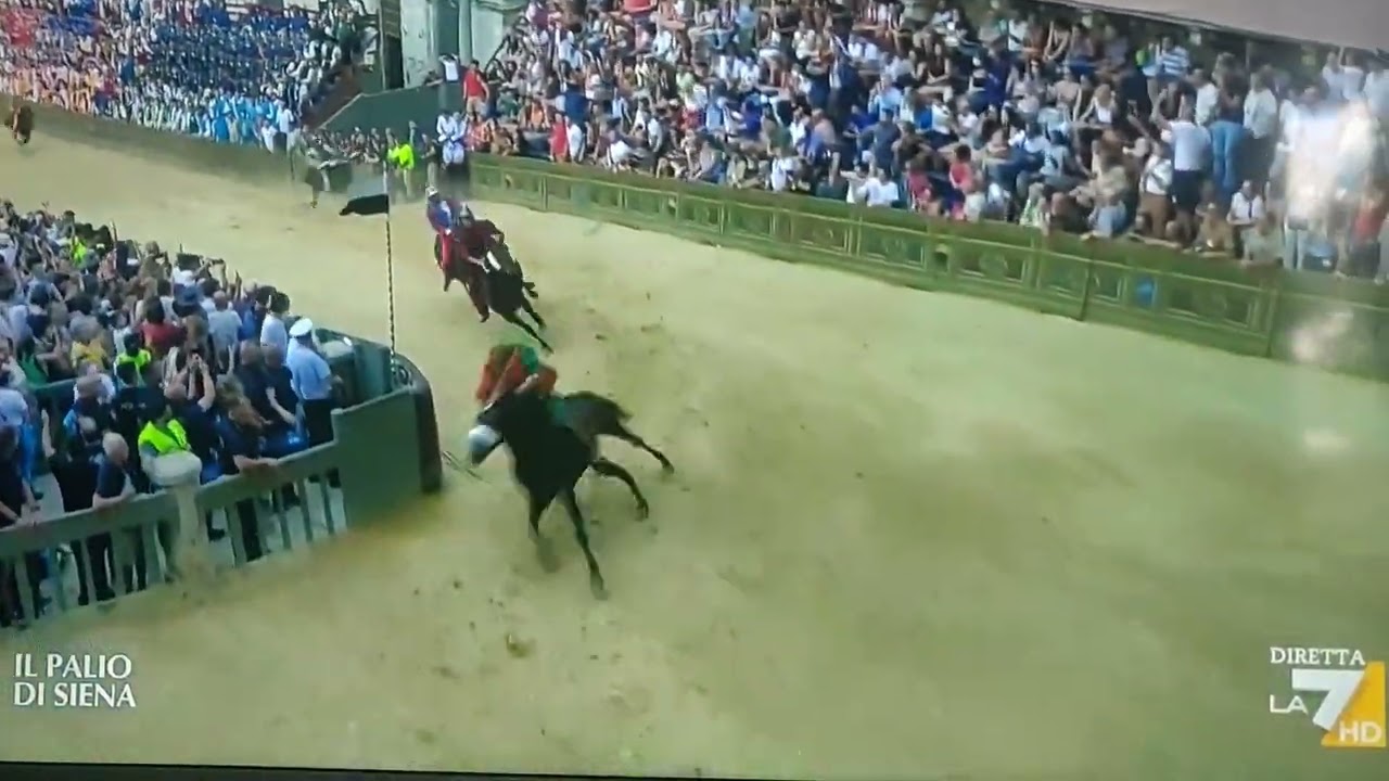 Palio di Siena 2022 DRAGO!