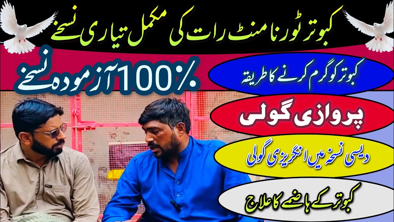 Kabutar ko garm Karne Ka Tarika || Parwazi Goli || desi Nukse Mein angreji Goli || उड़ने वाली गोली