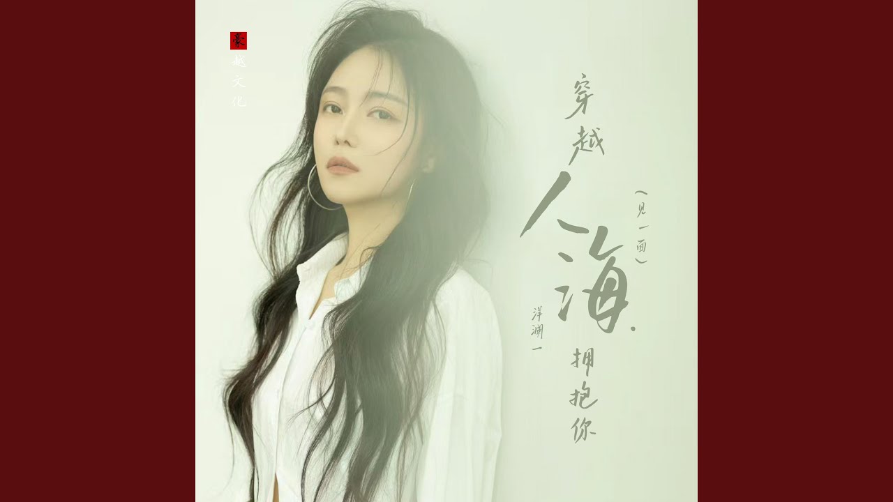 穿越人海拥抱你（见一面）DJ默涵版