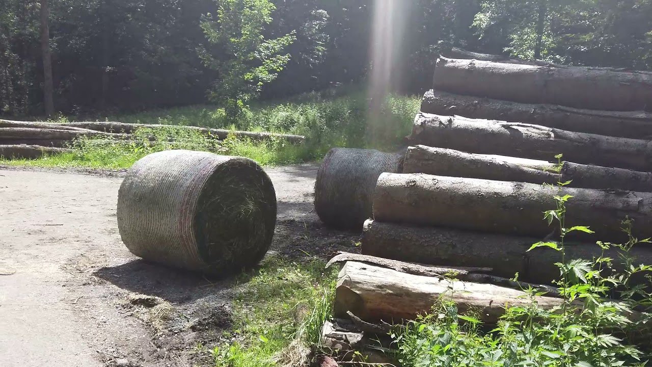 (Film 29)  Rundweg Rehsiepen - Obersorpe im Sorpetal