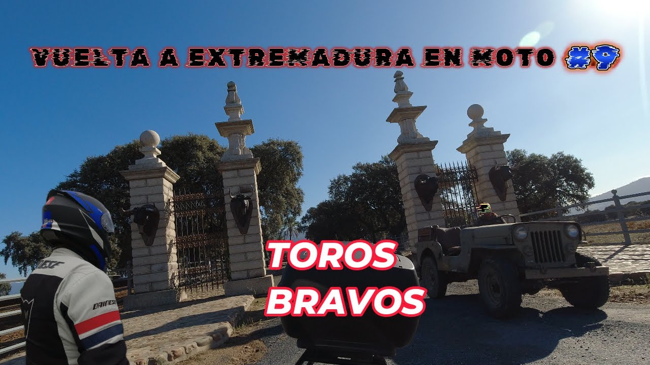 Toros Bravos de Lopez Gibaja, nunca vi una ganaderia así.
