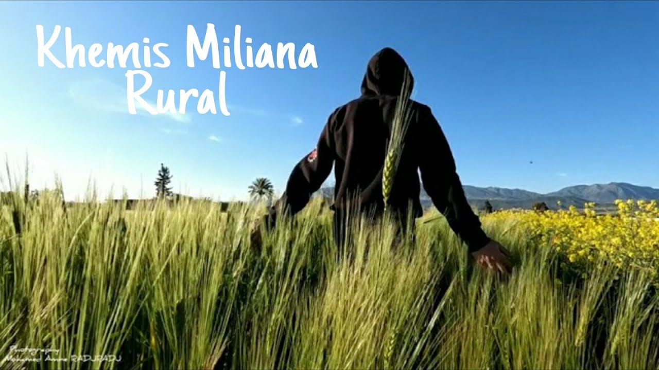 Khemis Miliana - Rural / Aïn Defla province / Algeria