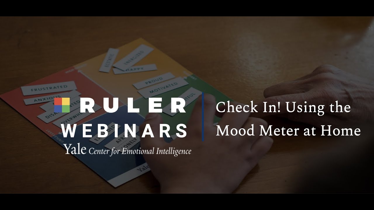 Check In! Using the Mood Meter for Families