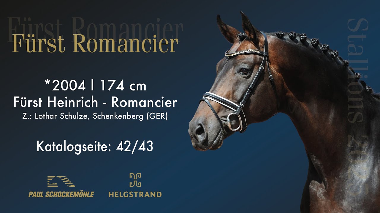 F&uuml;rst Romancier
