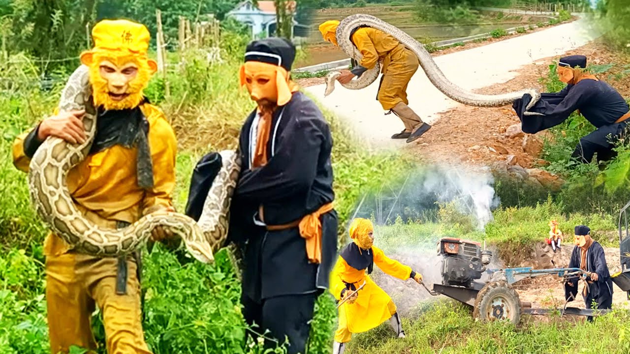 Trư Bát Giới Và Tôn Ngộ Không Đại Chiến Tây Du Ký full