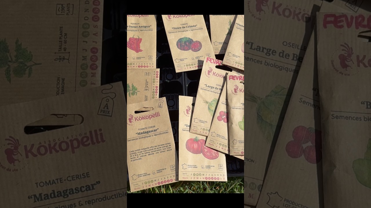 🌱 Semis de Légumes & Fraisiers 🍓 : Graines Kokopelli au Jardin 🌿 