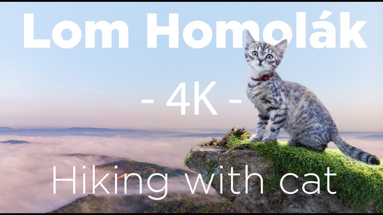 Lom Homolák (Czech Republic) - Hiking with Cat