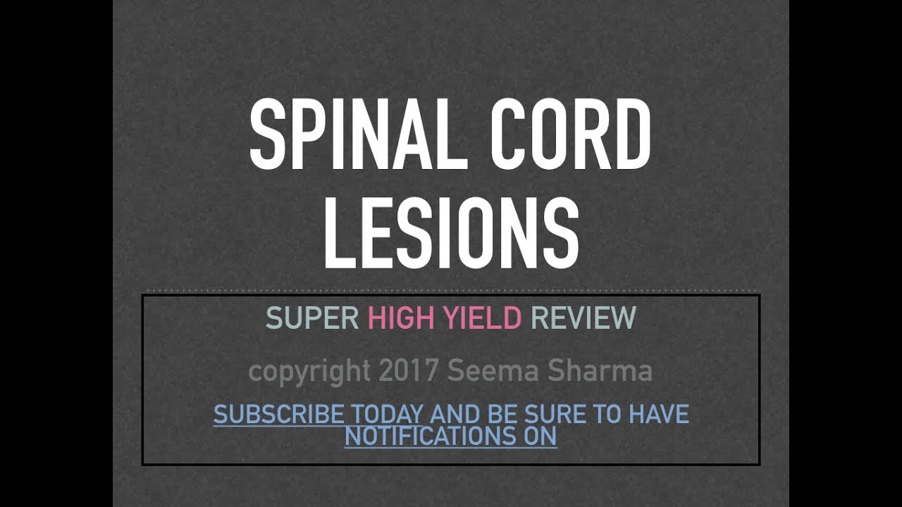 Spinal Cord Lesions: Tabes Dorsalis, SACD, Syringomyelia, Poliomyelitis, Brown-Sequard Disease