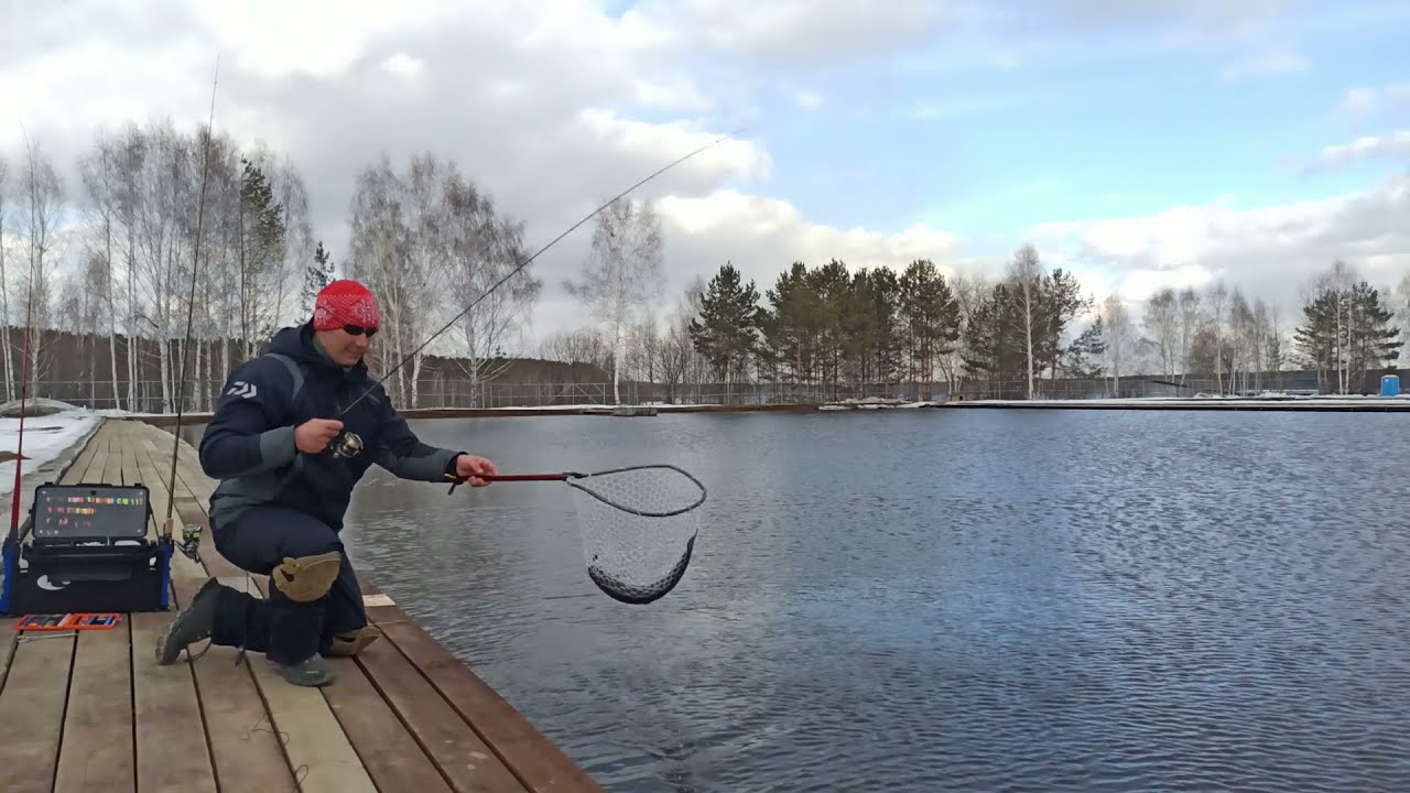 Yamaga Blanks BlueCurrent JH-Special 58/TZ + Twin Power 20 C2000S в работе по прудовой форели