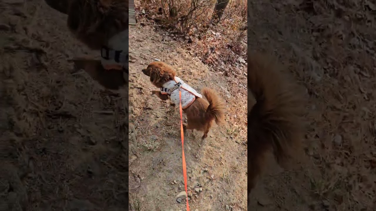 별이 일상 