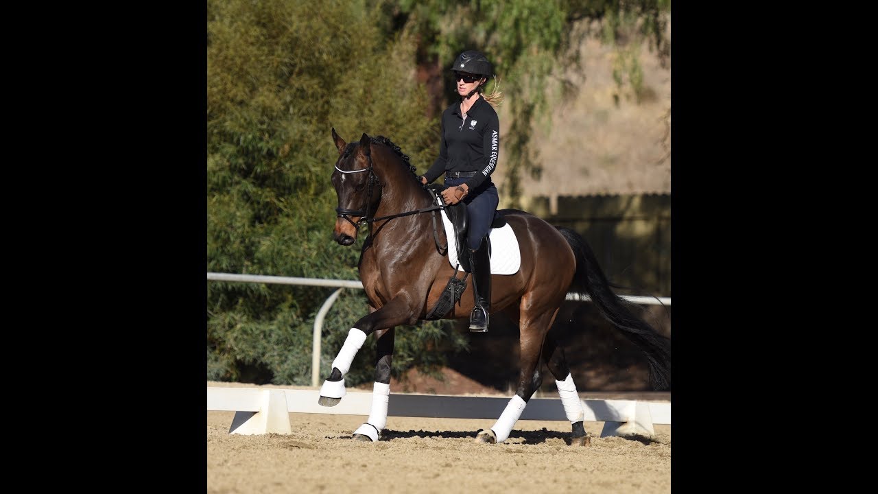 Dressage Tip: How to introduce the canter-walk-canter transitions