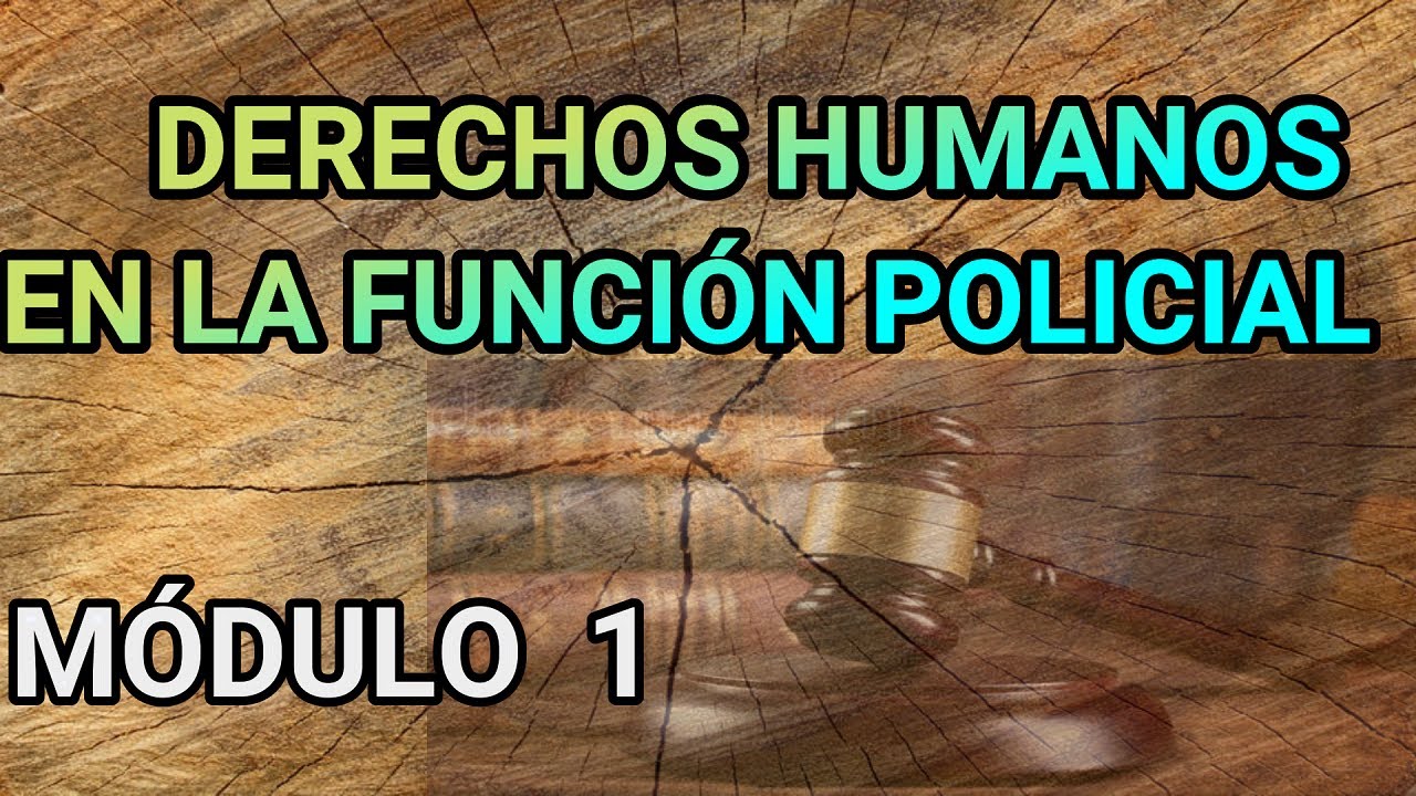 DERECHOS HUMANOS EN LA FUNCIÓN POLICIAL, MÓDULO  1
