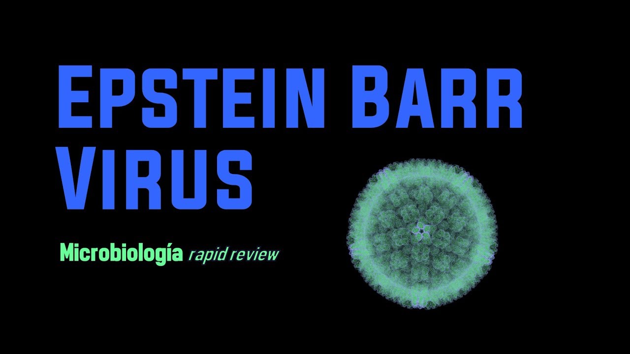 Epstein Barr Virus, Rapid Review