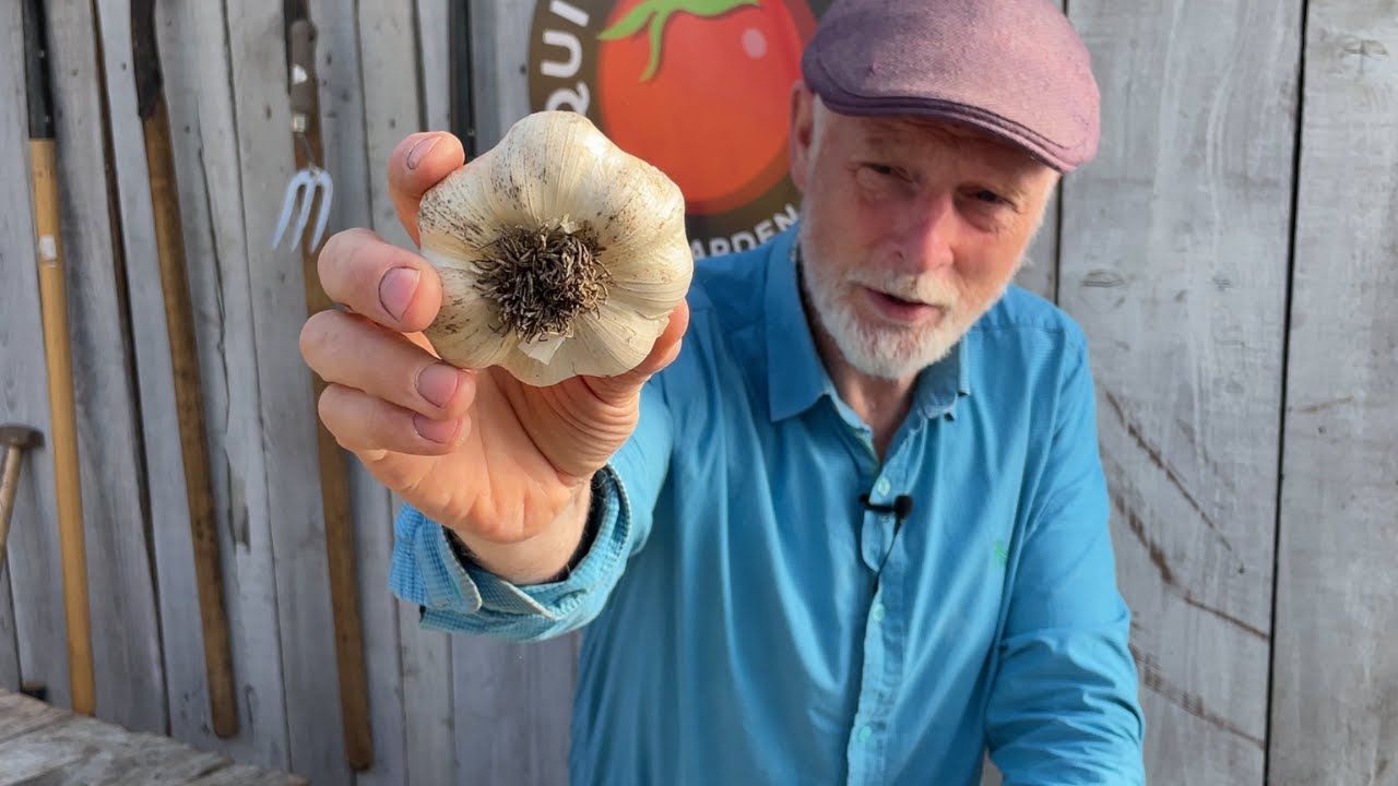 Planning to grow Garlic in Autumn (but wait until after the equinox)