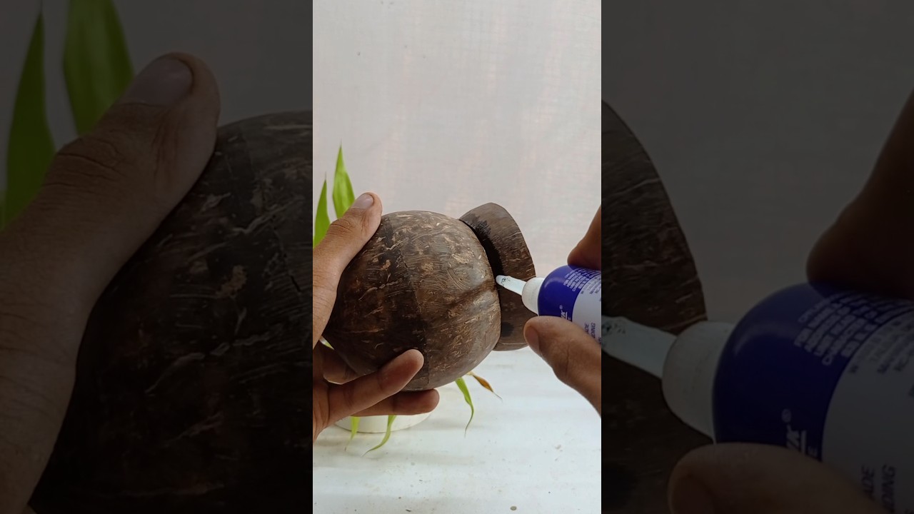 how to make coconut shell hanging plant Pot || #diy #youtubeshorts #shorts #Shortsfeed
