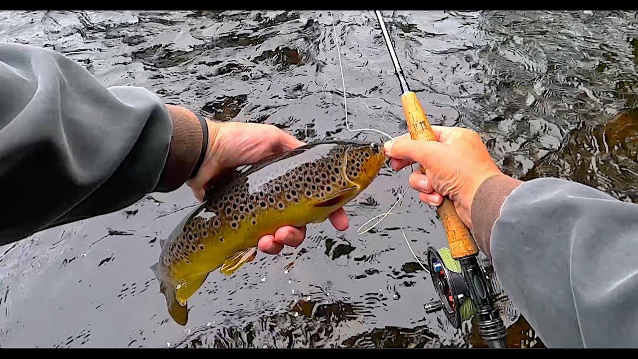 Fishing a Dry Dropper can Catch you some Really Nice Fish..